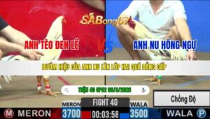 TRẬN 40 CPC2 NGÀY 06/3/2026