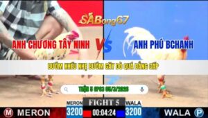 TRẬN 5 CPC3 NGÀY 05/3/2026