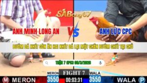 TRẬN 7 CPC3 NGÀY 08/3/2026