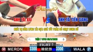 TRẬN 7 CPC3 NGÀY 05/3/2026