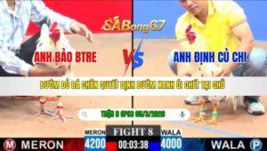 TRẬN 8 CPC3 NGÀY 05/3/2026