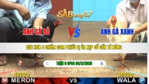 TRẬN 8 CPC4 NGÀY 04/3/2026