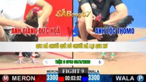 TRẬN 9 CPC3 NGÀY 08/3/2026