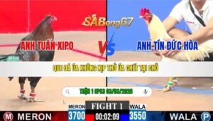 TRẬN 1 CPC3 NGÀY 03/3/2026