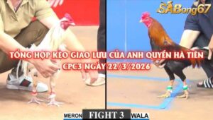 ANH QUYỀN HÀ TIÊN 22/3/2026