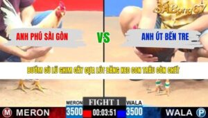 TRẬN 1 CPC3 26/3/2026