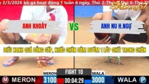 TRẬN 10 CPC2 11/3/2026