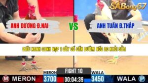 TRẬN 10 CPC2 13/3/2026