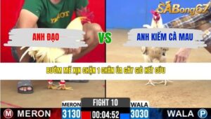 TRẬN 10 CPC2 14/3/2026