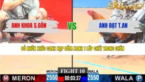 TRẬN 10 CPC3 14/3/2026