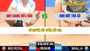 TRẬN 10 CPC3 22/3/2026