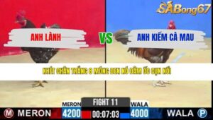 TRẬN 11 CPC2 20/3/2026