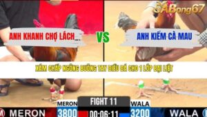 TRẬN 11 CPC2 27/3/2026