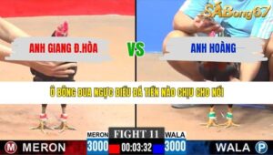 TRẬN 11 CPC3 10/3/2026