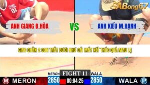 TRẬN 11 CPC2 14/3/2026