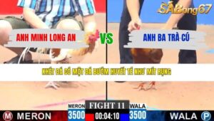 TRẬN 11 CPC3 22/3/2026