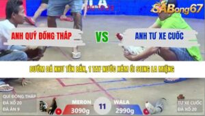 TRẬN 11 XÀ XÍA 30/3/2026