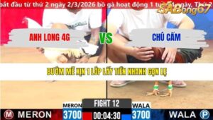 TRẬN 12 CPC2 11/3/2026