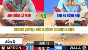 TRẬN 12 CPC2 17/3/2026