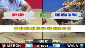 TRẬN 12 CPC2 25/3/2026