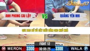 TRẬN 12 CPC2 31/3/2026