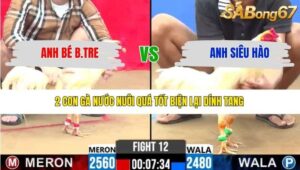 TRẬN 12 CPC2 9/3/2026