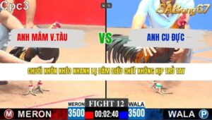 TRẬN 12 CPC3 12/3/2026