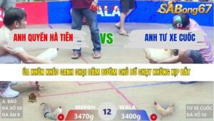 TRẬN 12 XÀ XÍA 29/3/2026