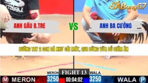 TRẬN 13 CPC3 12/3/2026