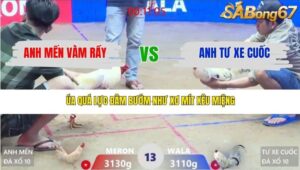 TRẬN 13 XÀ XÍA 16/3/2026