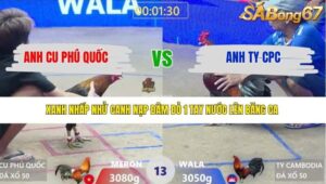 TRẬN 13 XÀ XÍA 29/3/2026