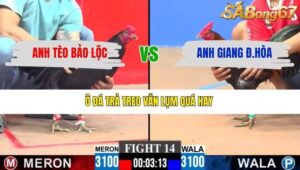 TRẬN 14 CPC3 10/3/2026