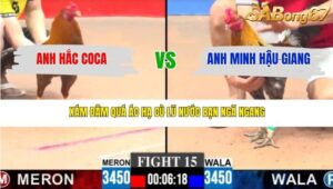 TRẬN 15 CPC3 22/3/2026