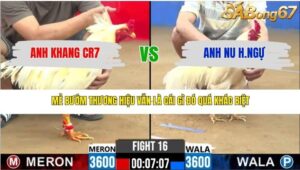 TRẬN 16 CPC2 14/3/2026