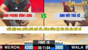 TRẬN 16 CPC2 27/3/2026