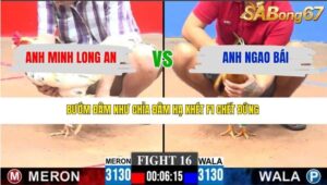 TRẬN 16 CPC3 15/3/2026