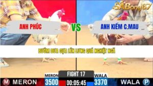 TRẬN 17 CPC2 13/3/2026