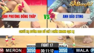 TRẬN 17 CPC2 31/3/2026