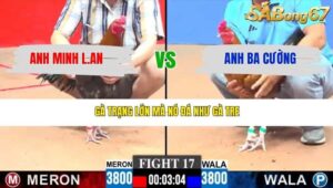 TRẬN 17 CPC3 12/3/2026