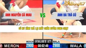 TRẬN 17 CPC3 22/3/2026