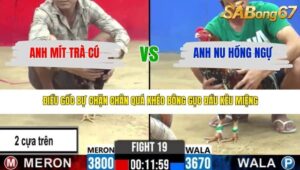 TRẬN 19 CPC2 20/3/2026