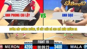 TRẬN 19 CPC2 31/3/2026