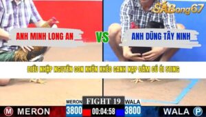 TRẬN 19 CPC3 15/3/2026