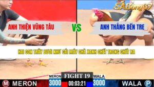 TRẬN 19 CPC3 28/3/2026