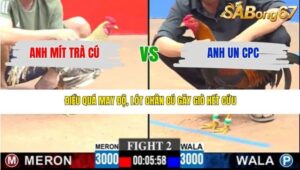 TRẬN 2 CPC3 22/3/2026