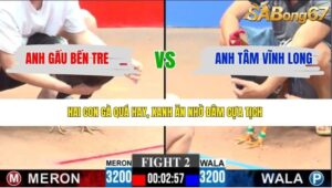 TRẬN 2 CPC3 29/3/2026