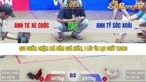 TRẬN 2 XÀ XÍA 16/3/2026