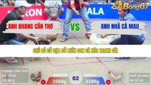 TRẬN 2 XÀ XÍA 27/3/2026