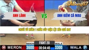 TRẬN 20 CPC2 18/3/2026