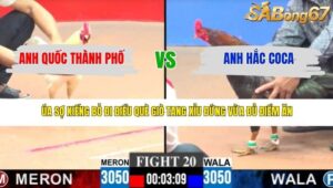 TRẬN 20 CPC3 22/3/2026